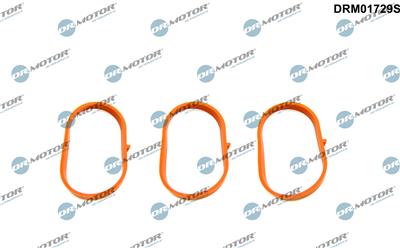 Dr.Motor Automotive DRM01729S EAN: 5904639608093.