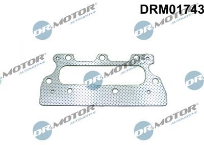 Dr.Motor Automotive DRM01743 EAN: 5904639608260.