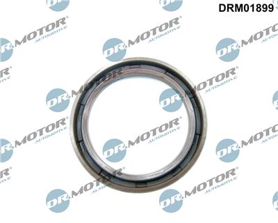 Dr.Motor Automotive DRM01899 EAN: 5904639622501.