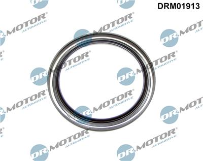 Dr.Motor Automotive DRM01913 EAN: 5904639622891.
