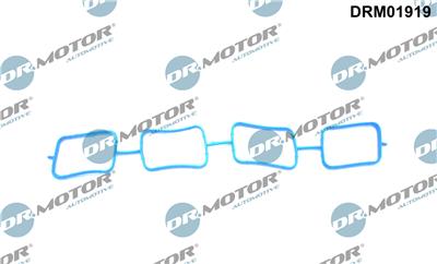 Dr.Motor Automotive DRM01919 EAN: 5904639622952.