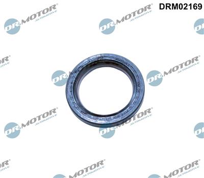 Dr.Motor Automotive DRM02169 EAN: 5904639628527.