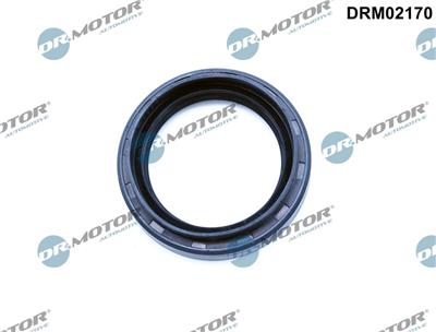 Dr.Motor Automotive DRM02170 EAN: 5904639628534.