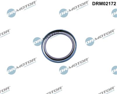 Dr.Motor Automotive DRM02172 EAN: 5904639628558.