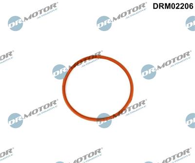 Dr.Motor Automotive DRM02206 EAN: 5904639635198.