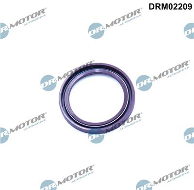 Dr.Motor Automotive DRM02209 EAN: 5904639632579.