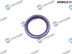 Dr.Motor Automotive DRM02213