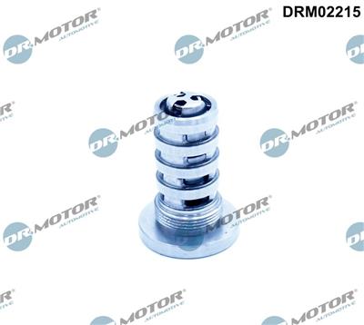 Dr.Motor Automotive DRM02215 EAN: 5904639632623.
