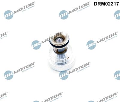 Dr.Motor Automotive DRM02217 EAN: 5904639632647.