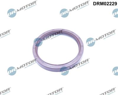 Dr.Motor Automotive DRM02229 EAN: 5904639635266.
