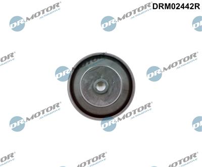 Dr.Motor Automotive DRM02442R EAN: 5904639641465.