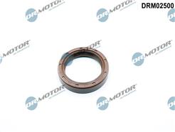 Dr.Motor Automotive DRM02500