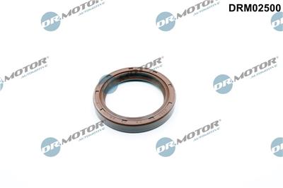 Dr.Motor Automotive DRM02500 EAN: 5904639638182.
