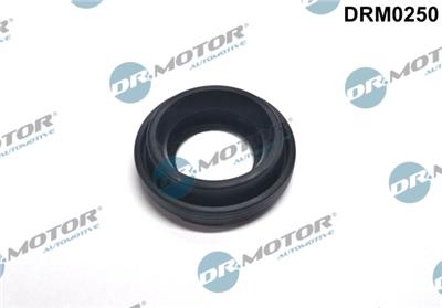 Dr.Motor Automotive DRM0250 EAN: 5902425074343.