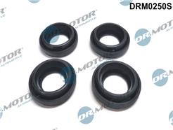 Dr.Motor Automotive DRM0250S