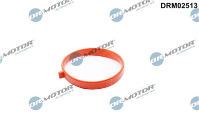 Dr.Motor Automotive DRM02513 EAN: 5904639638311.