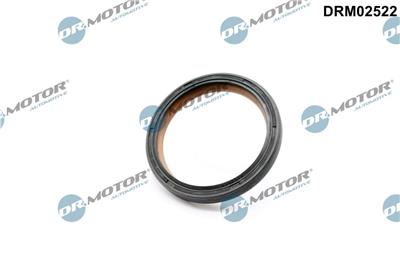 Dr.Motor Automotive DRM02522 EAN: 5904639638403.