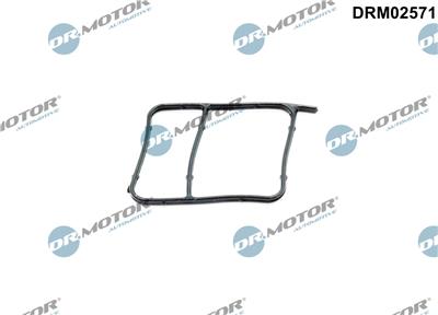 Dr.Motor Automotive DRM02571 EAN: 5904639639196.