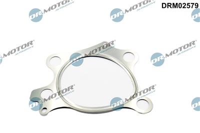 Dr.Motor Automotive DRM02579 EAN: 5904639639271.