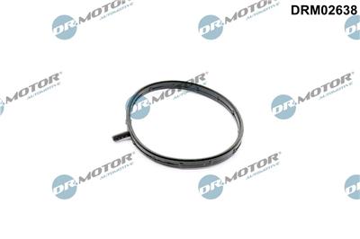 Dr.Motor Automotive DRM02638 EAN: 5904639639806.
