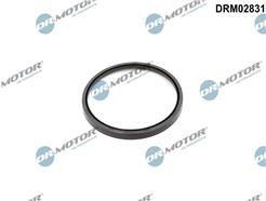 Dr.Motor Automotive DRM02831