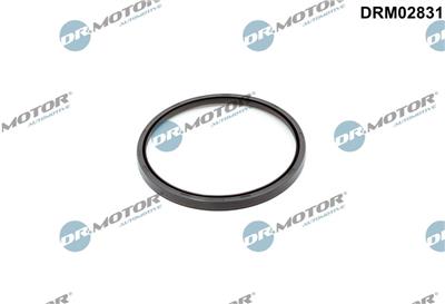 Dr.Motor Automotive DRM02831 EAN: 5904639645746.