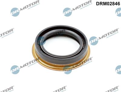 Dr.Motor Automotive DRM02846 EAN: 5904639645876.