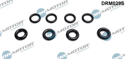 Dr.Motor Automotive DRM029S EAN: 5902425071700.