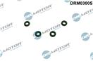 Dr.Motor Automotive DRM0300S