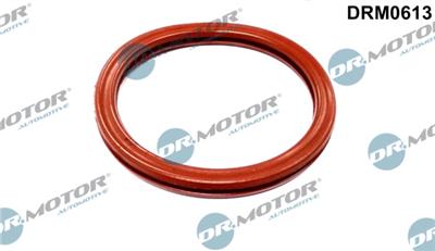 Dr.Motor Automotive DRM0613 EAN: 5902425079553.
