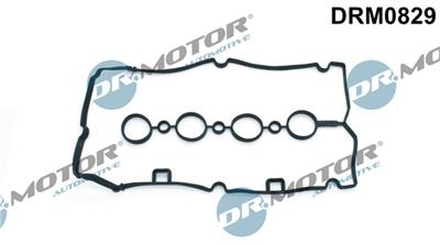 Dr.Motor Automotive DRM0829 EAN: 5903672749404.