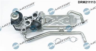 Dr.Motor Automotive DRM211113 EAN: 5903672748025.