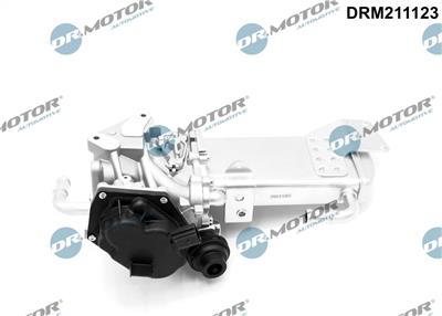 Dr.Motor Automotive DRM211123 EAN: 5904639610140.