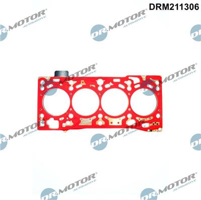 Dr.Motor Automotive DRM211306 EAN: 5904639650443.