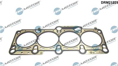 Dr.Motor Automotive DRM21229 EAN: 5904639607362.