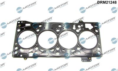 Dr.Motor Automotive DRM21248 EAN: 5904639610713.