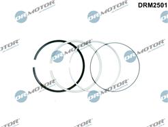 Dr.Motor Automotive DRM2501