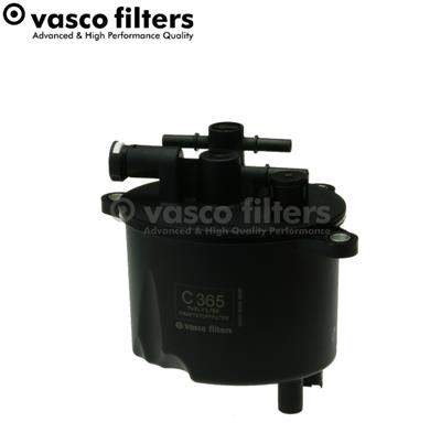 DAVID VASCO C365