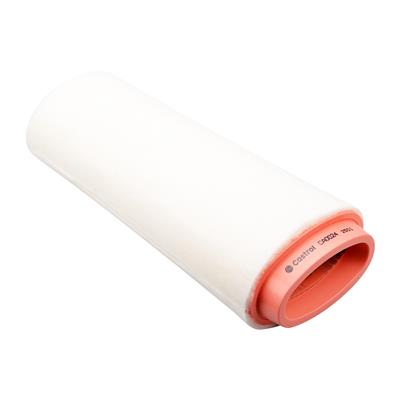 Castrol Filters CA0024