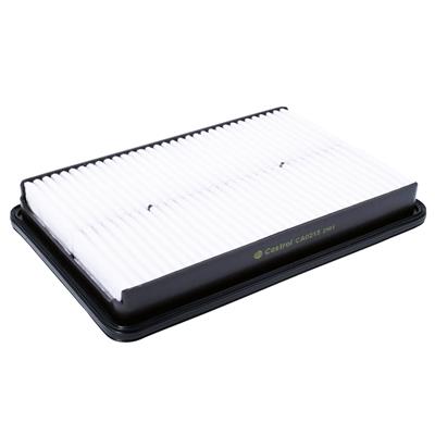 Castrol Filters CA0215