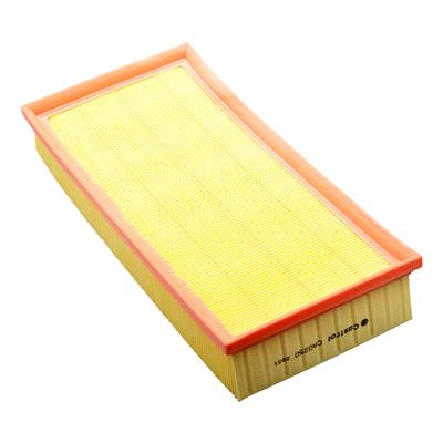 Castrol Filters CA0250