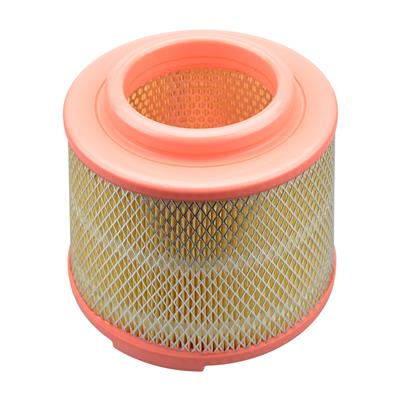 Castrol Filters CA0253