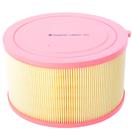 Castrol Filters CA0421