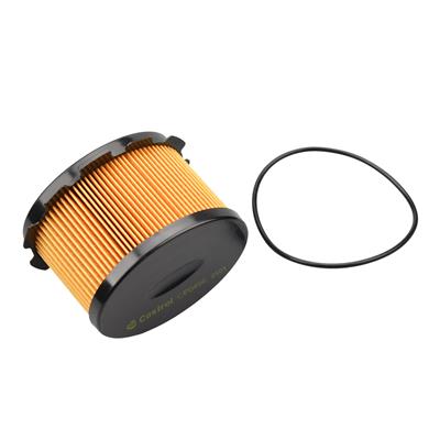 Castrol Filters CF0496