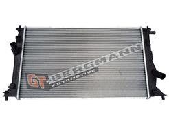 GT BERGMANN GT10-189