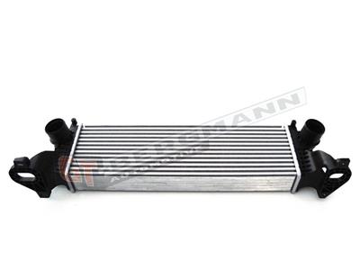 GT BERGMANN GT12-017 EAN: 5907764509730.