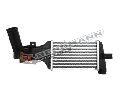 GT12-025