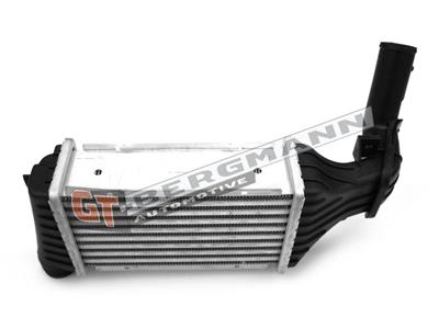 GT12-025