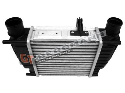 GT BERGMANN GT12-028 EAN: 5907764516776.