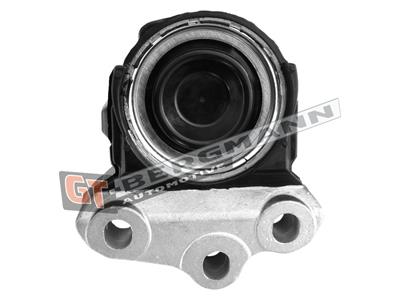 GT BERGMANN GT25-036 EAN: 5907764519029.